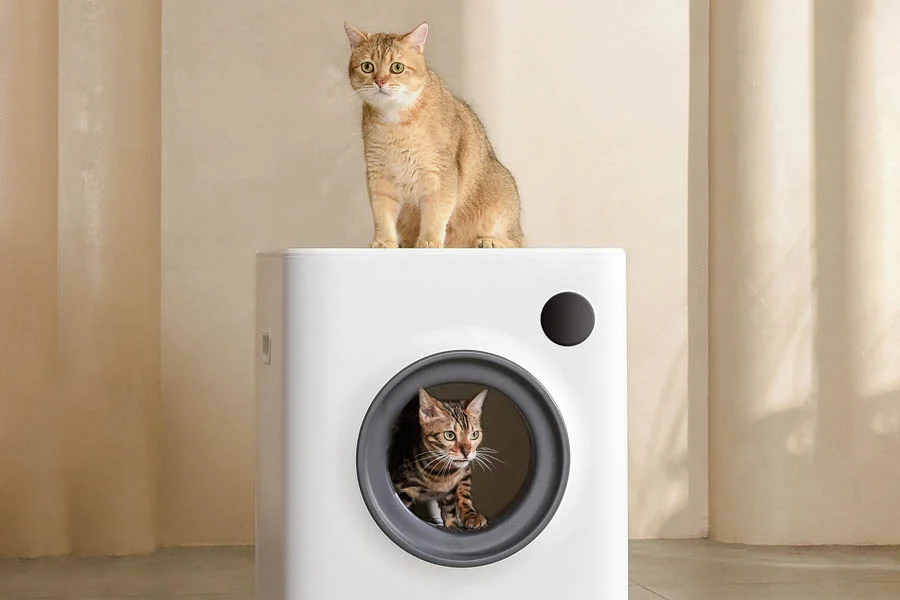 best automatic kitty litter